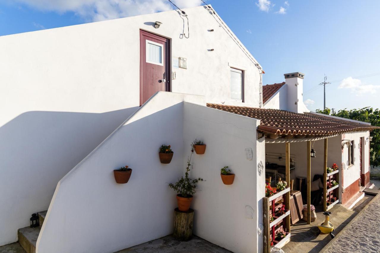 Avo Rosa Guesthouse Sao Joao da Ribeira Экстерьер фото